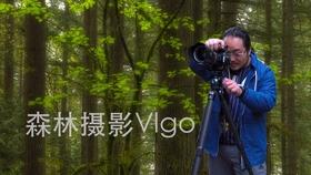 按点连线